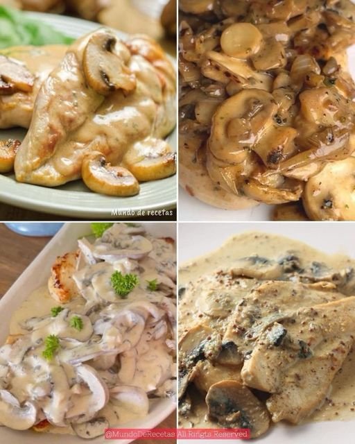 RECETA DE PECHUGA EN SALSA DE CHAMPIÑONES 429685247_1462977111233224_6880571687906675072_n