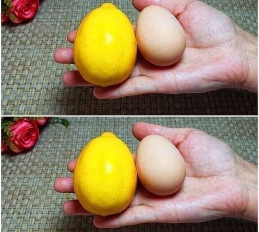 FB_IMG_1718757766682-526×470-1