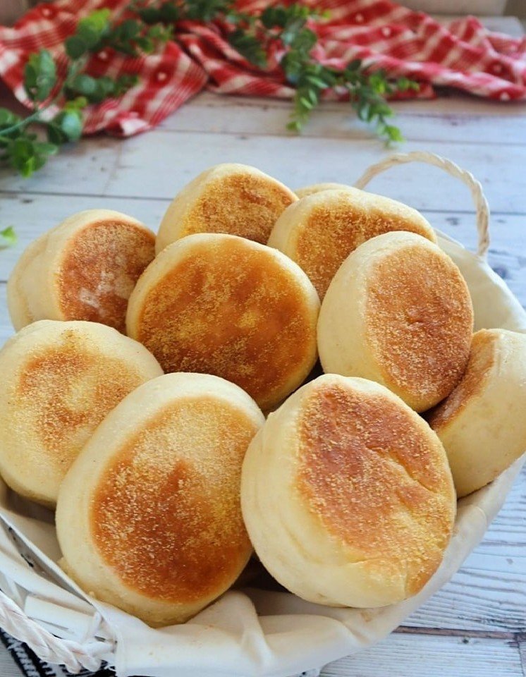 458099099_402004279587817_4099429244258321591_n