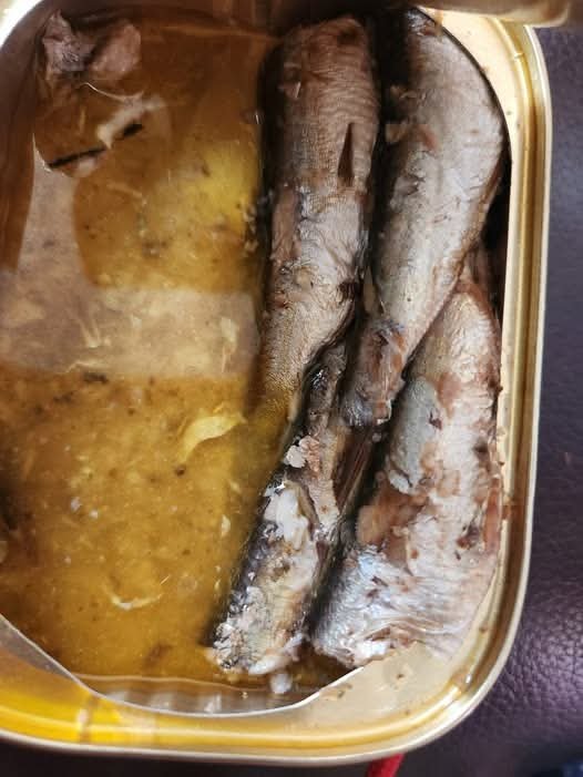 FB_IMG_1767108288531