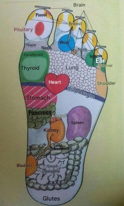 FB_IMG_1767367125874