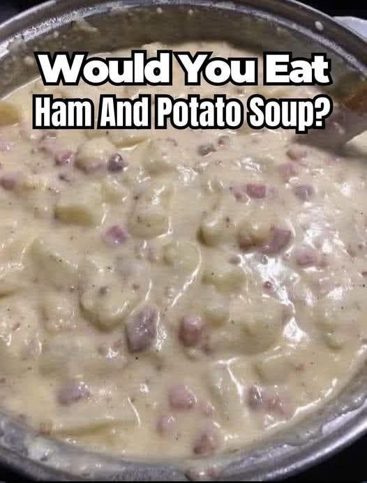 FB_IMG_1768144346868