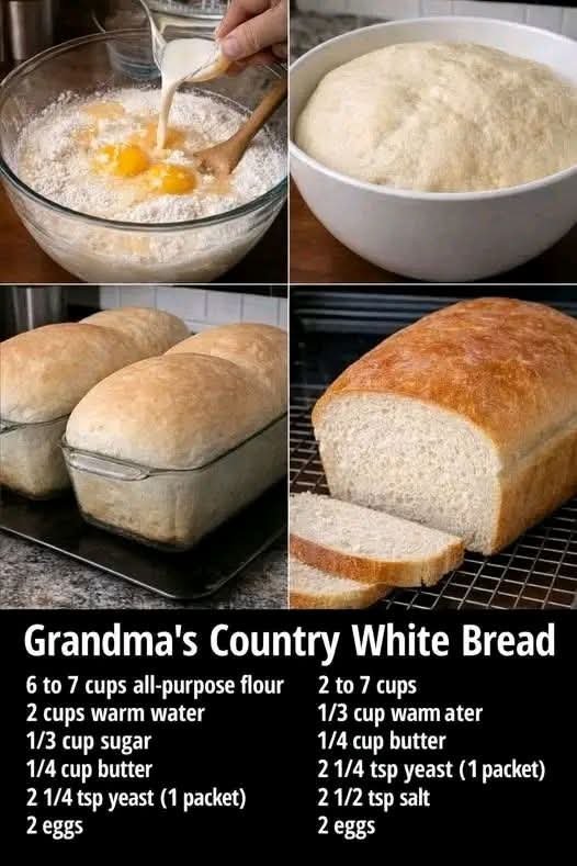 FB_IMG_1768911593565